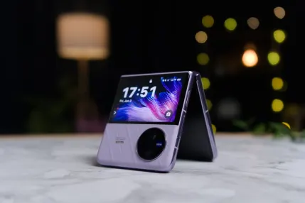 Casino Jungle Raja Farsímaforrit